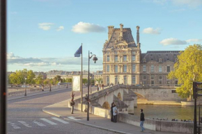 Apt vue Louvre et Seine